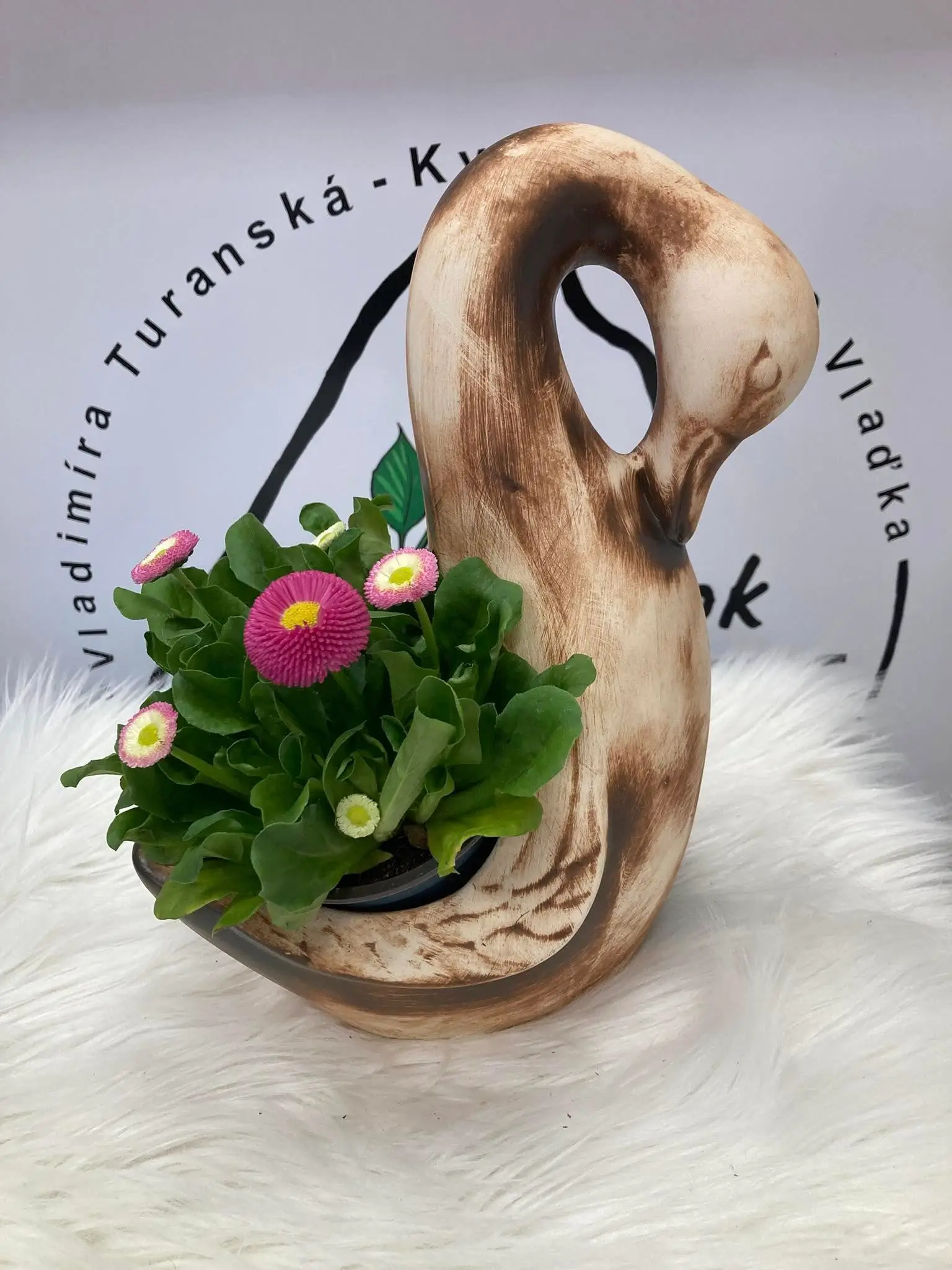 Kvet labuť
